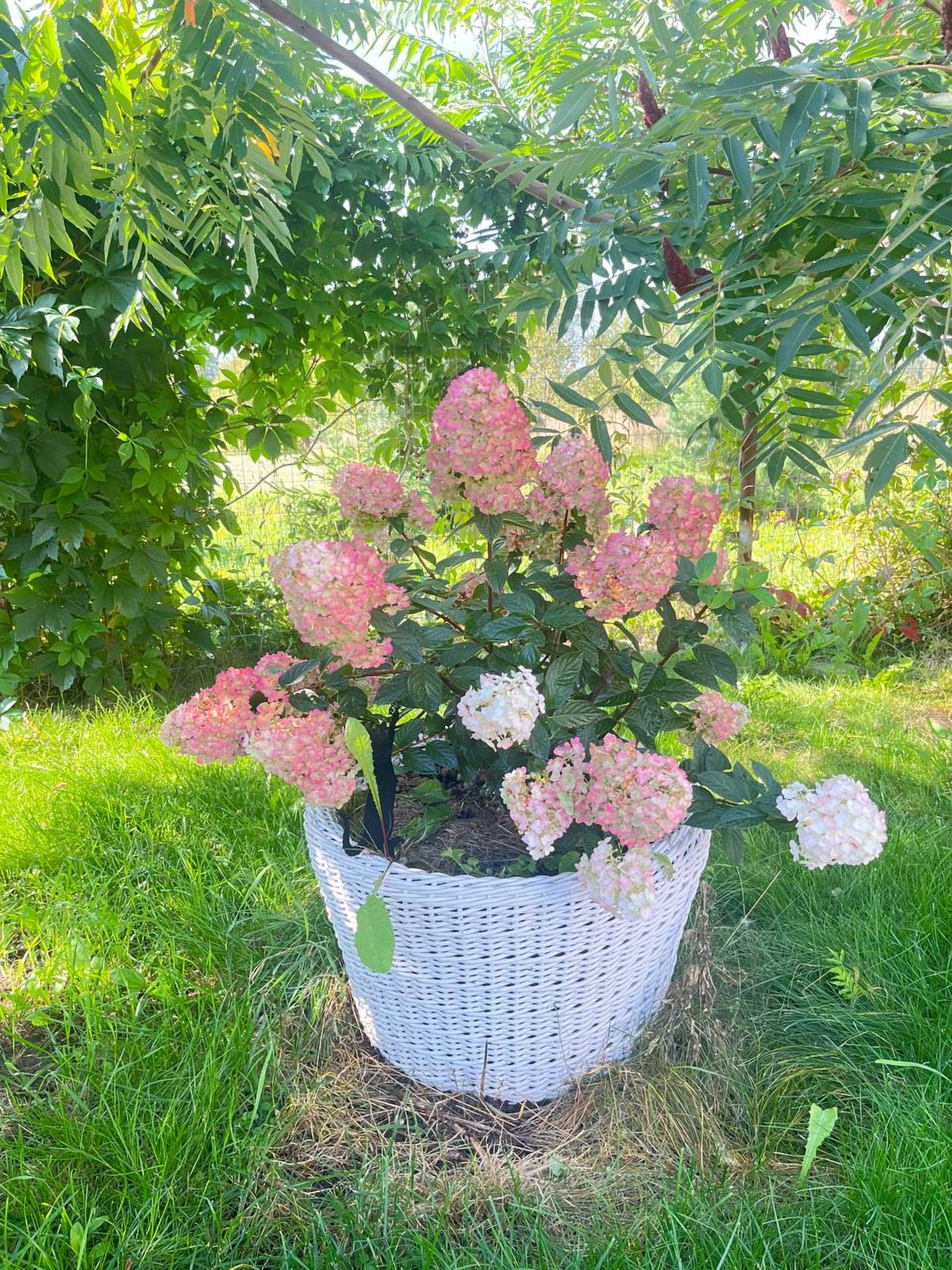 Работа клиента